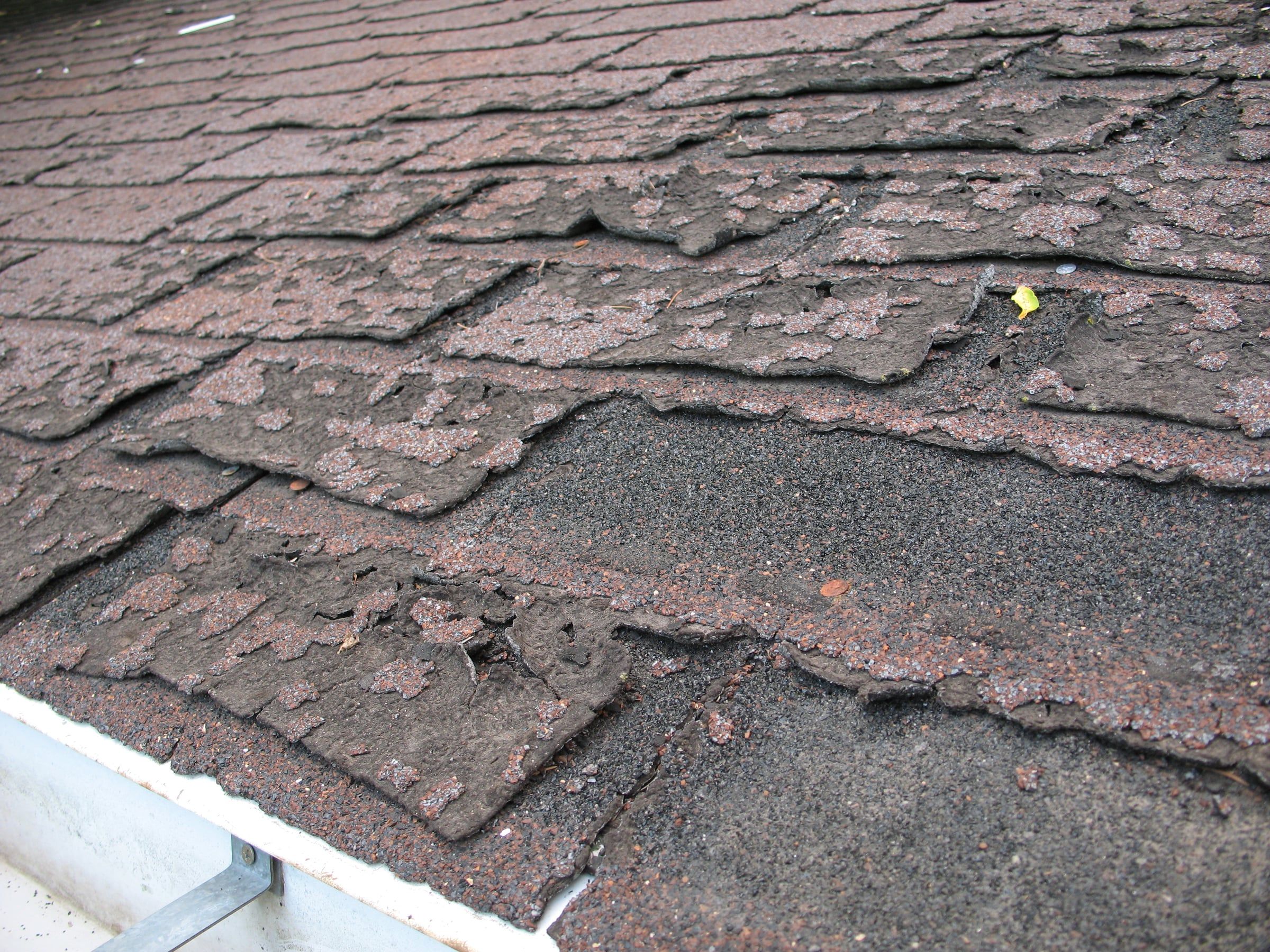 Close-up of aged asphalt shingles with heavy granule loss, curled and shrunken tabs, and torn edges near the roof eave